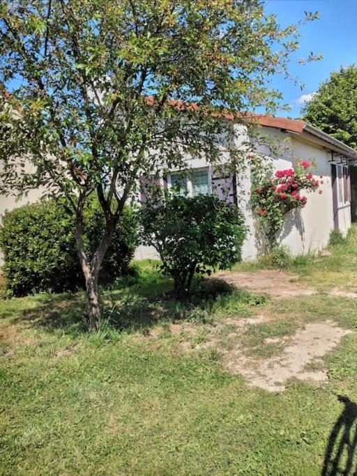 Maison Studio Individuelle Fraichement Renovee Paray-le-Frésil Eksteriør bilde